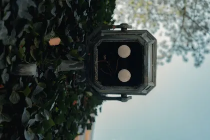 SpinTropolis Kasyno Aplikacja mobilna